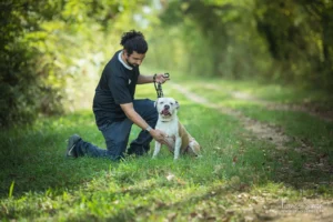 famille d'accueil pour les animaux de compagnie - refuge de l'angoumois - SPA Charente