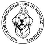 Refuge de l'Angoumois - SPA de Mornac - Charente