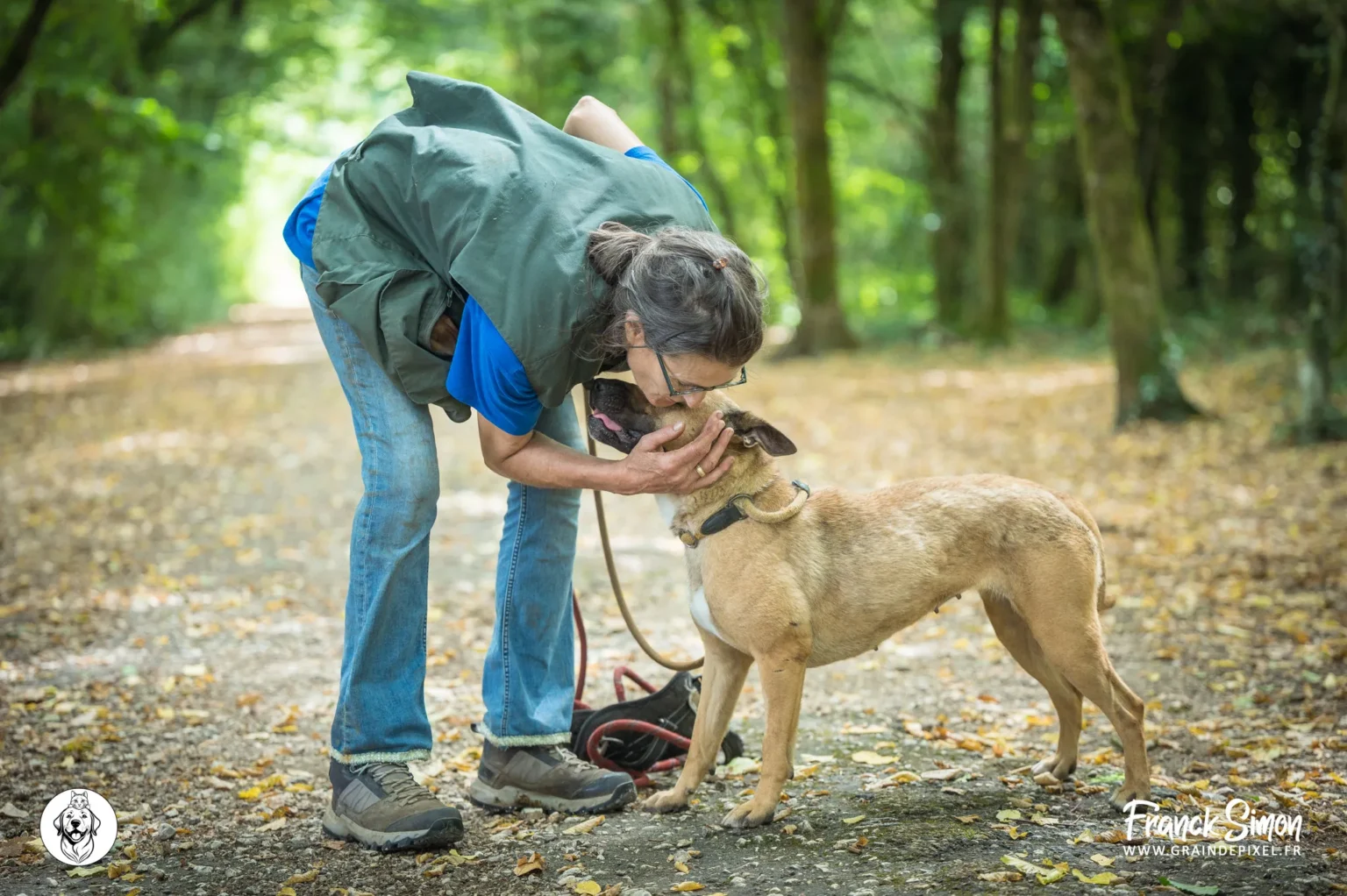 Devenir famille d'accueil - Refuge de l'Angoumois - SPA de Mornac - Charente - crédit photo : Franck Simon - graindepixel.fr