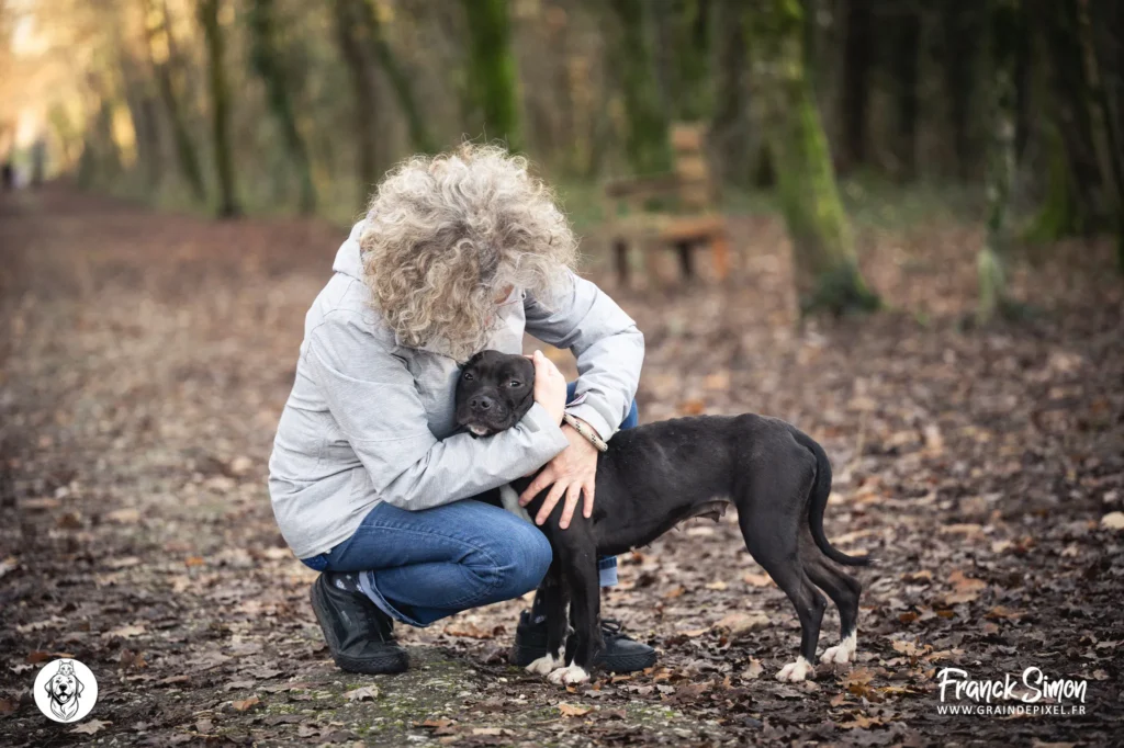 devenez bénévole au refuge de l'Angoumois - crédit photo : Franck Simon - photographe canin à Angoulême