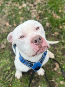 bouly_250268781732879_1