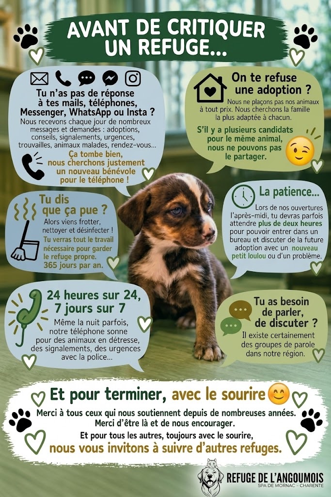 ne pas critiquer un refuge quand on n'a pas de réponse immédiate à ses messages.