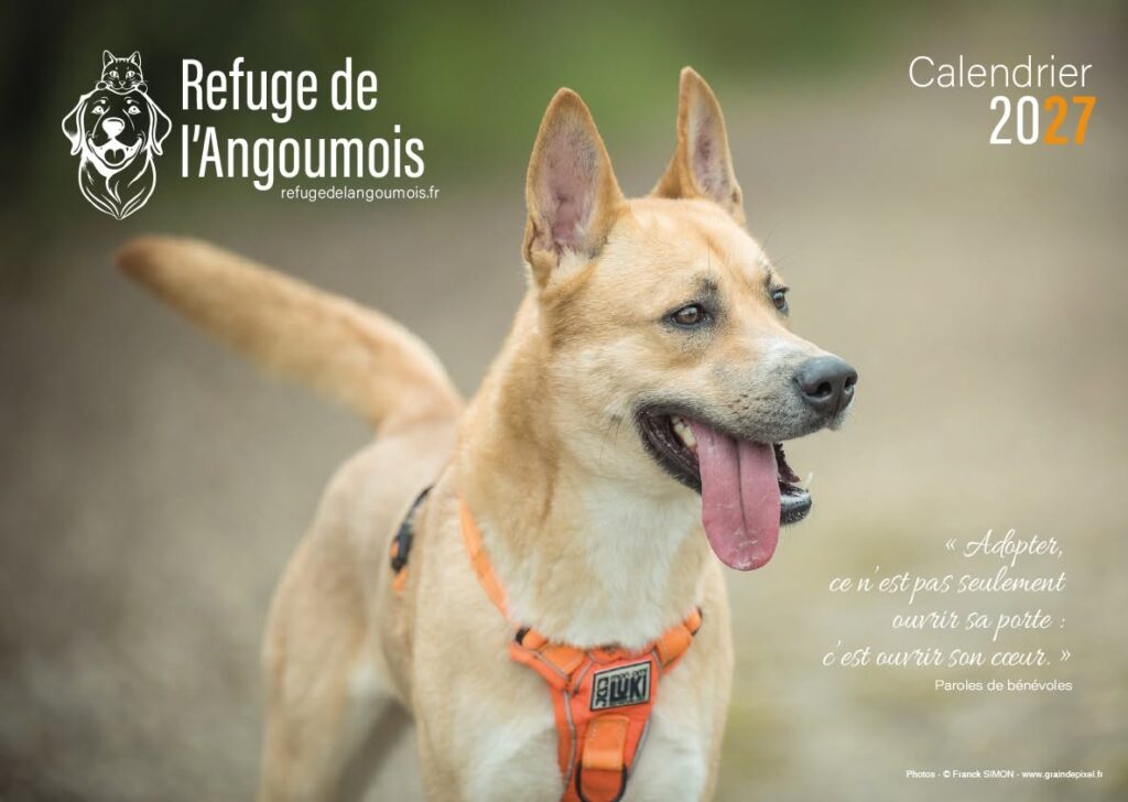 calendrier du refuge de l'Angoumois 2027 - Les précommandes sont ouvertes !