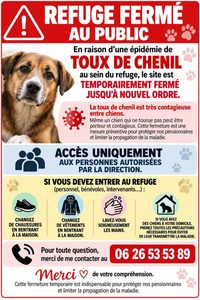 toux du chenil