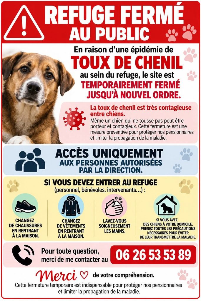 toux du chenil